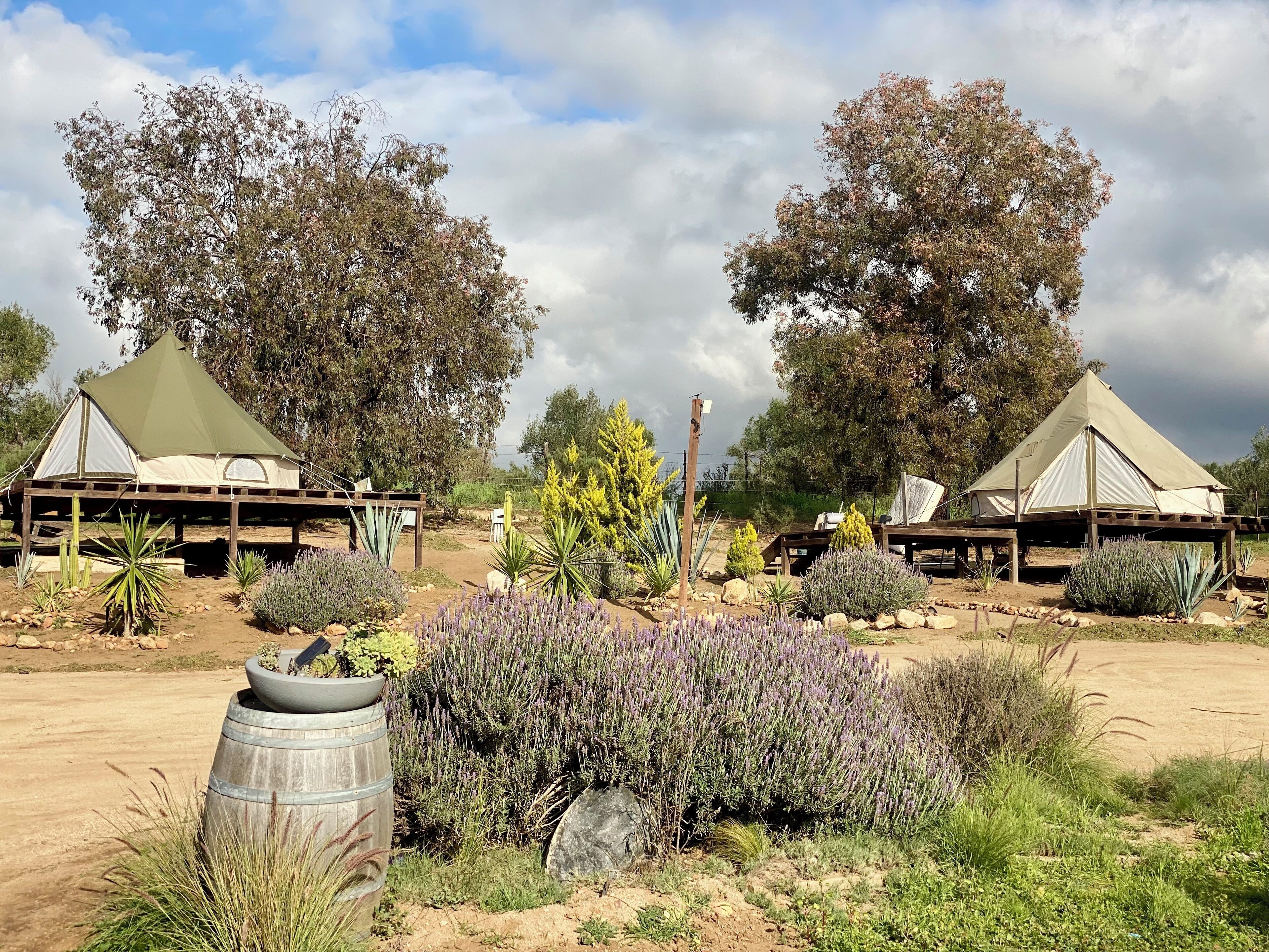 Classic Room, Vineyard View | Property grounds