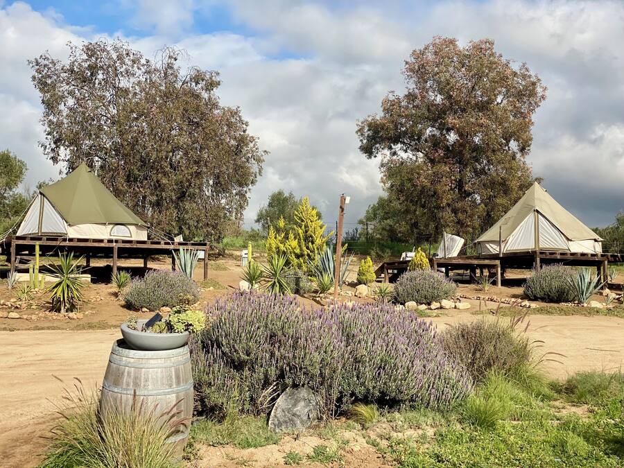 Classic Room, Vineyard View | Property grounds