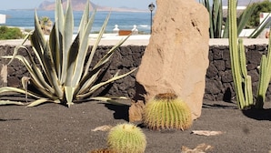Un jardin désertique avec des cactus et un grand rocher, offrant une vue sur une zone côtière.