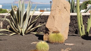 A desert garden with cacti and a large rock, overlooking a coastal area. - Canaryislandshost I Esencia (Urbanización Famara)