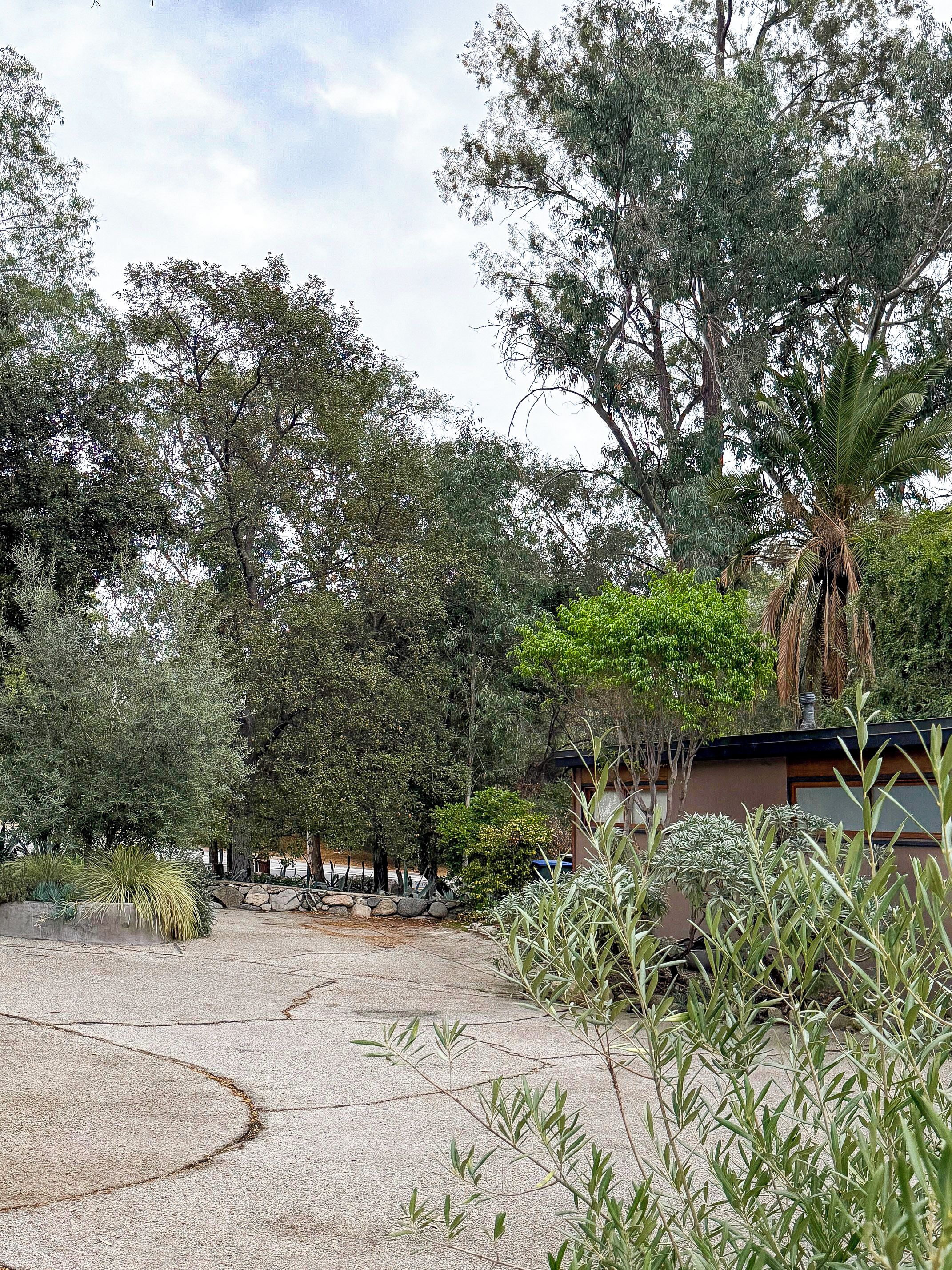 A garden with various trees and a building in the background.