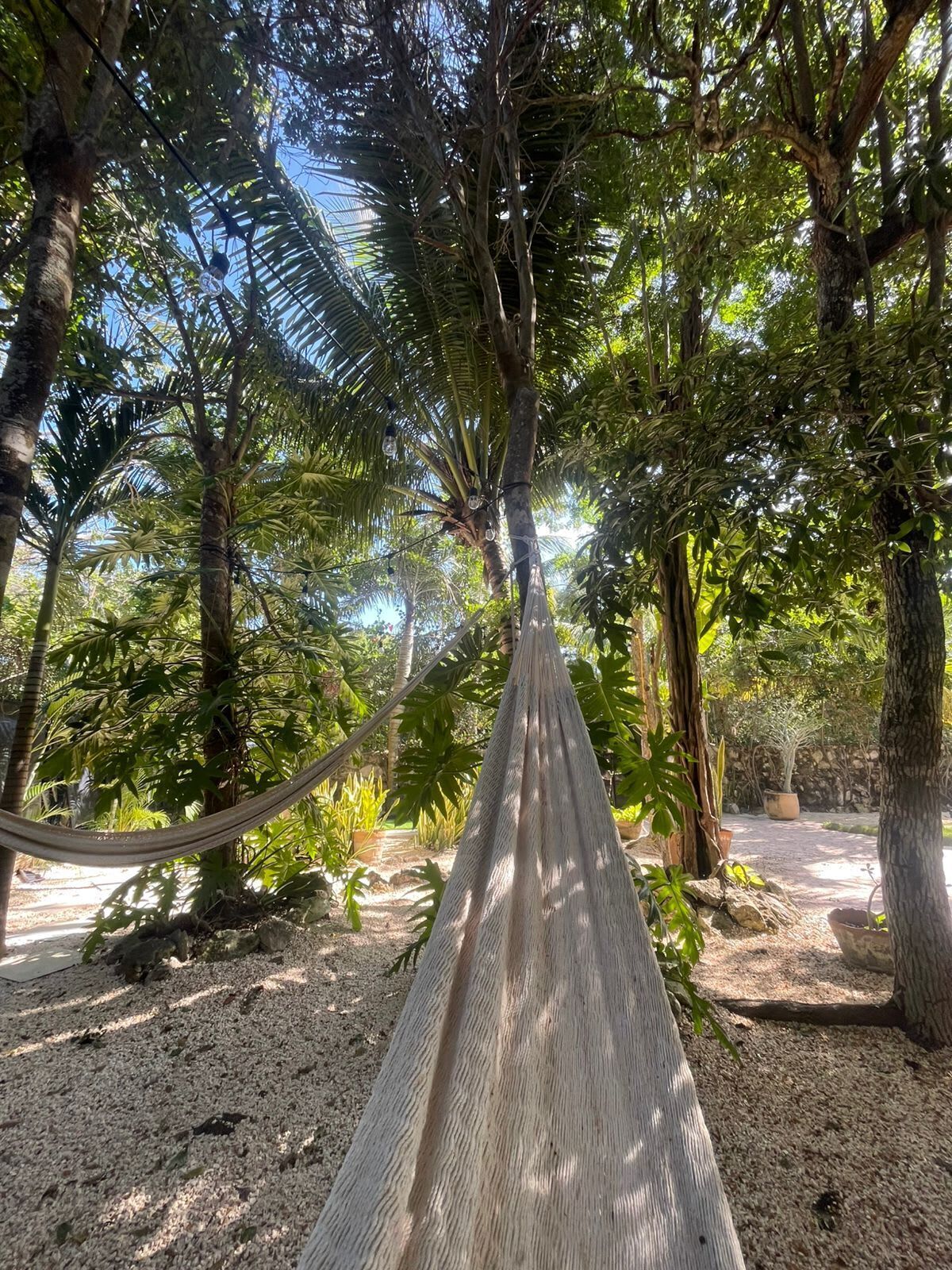 Área da propriedade