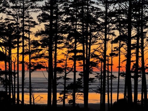 SPRING BREAK - Sunshine Cottage – Cozy Luxury in Seabrook-NEW