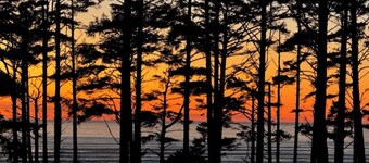 SPRING BREAK - Sunshine Cottage – Cozy Luxury in Seabrook-NEW