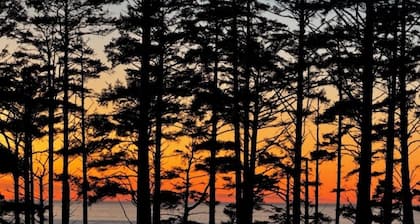 SPRING BREAK - Sunshine Cottage – Cozy Luxury in Seabrook-NEW