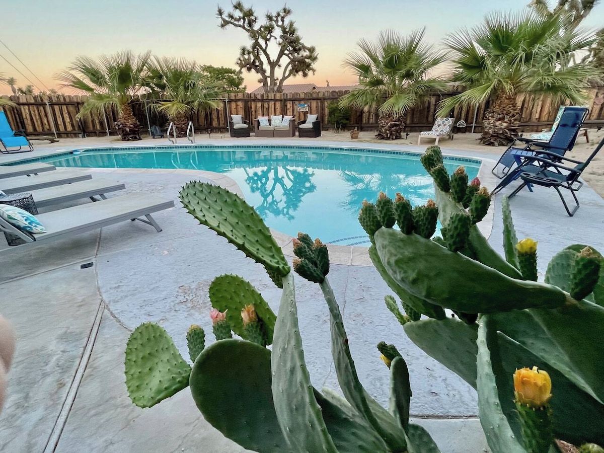 A swimming pool with lounge chairs and cacti in the foreground.