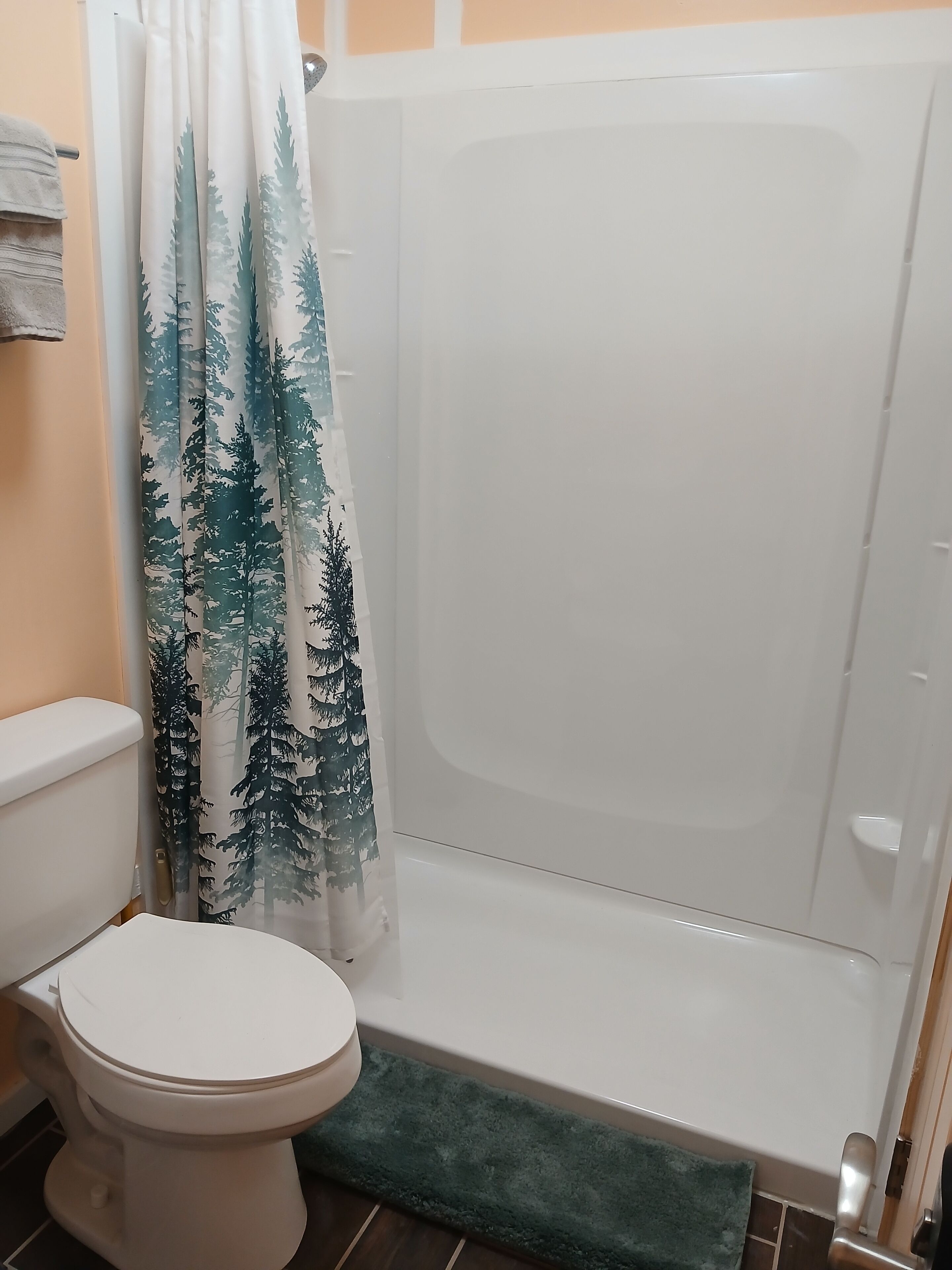 Shower, hair dryer, soap, toilet paper