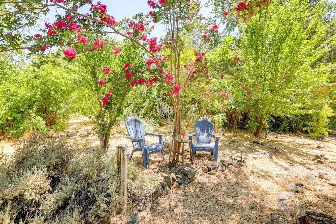 Two Adirondack chairs in a natural setting with flowering trees and shrubs.