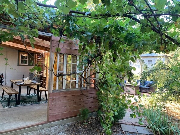 En træpergola med vinranker, et træbord med bænke, og et hus i baggrunden.