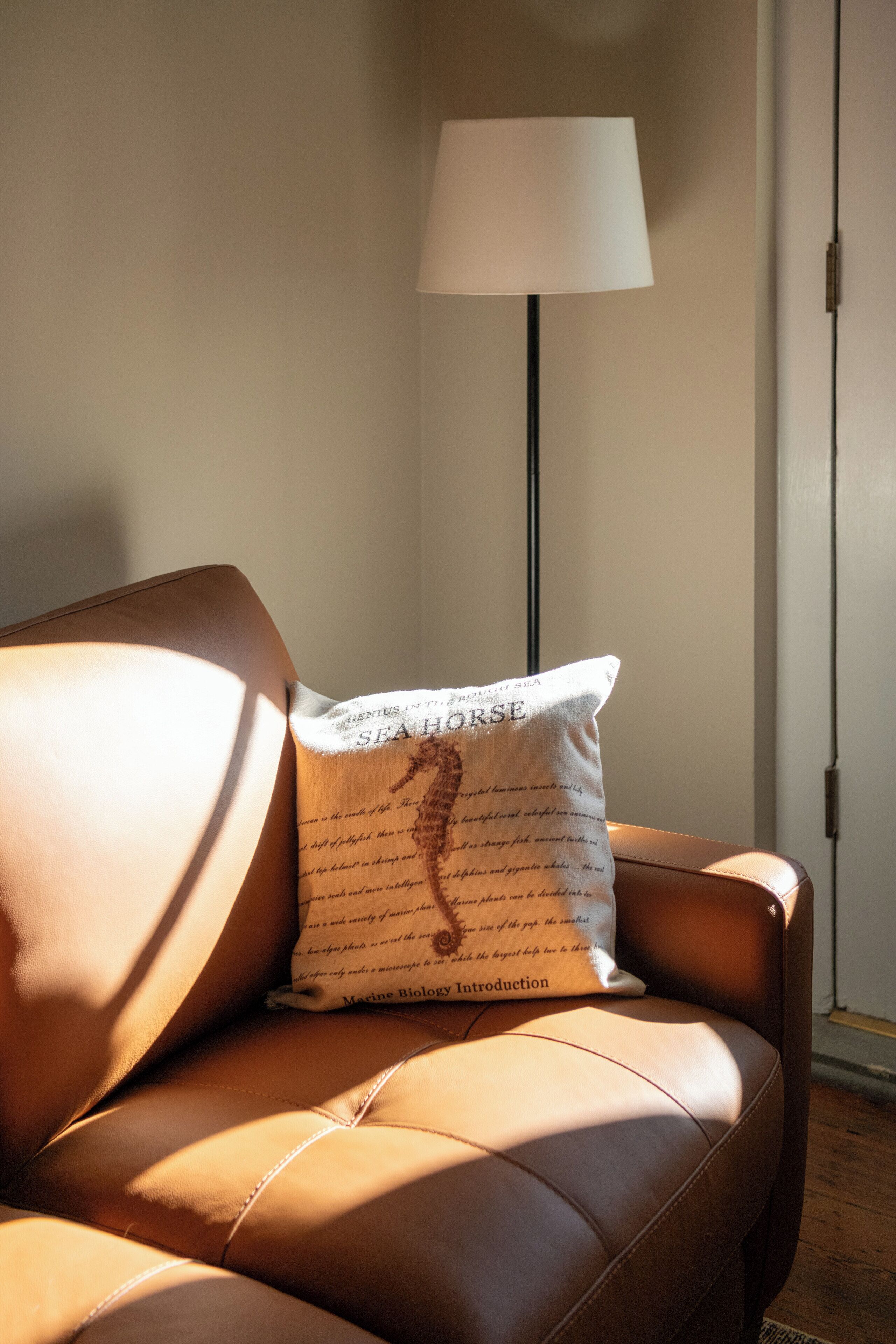 A brown leather sofa with a pillow that has text on it.