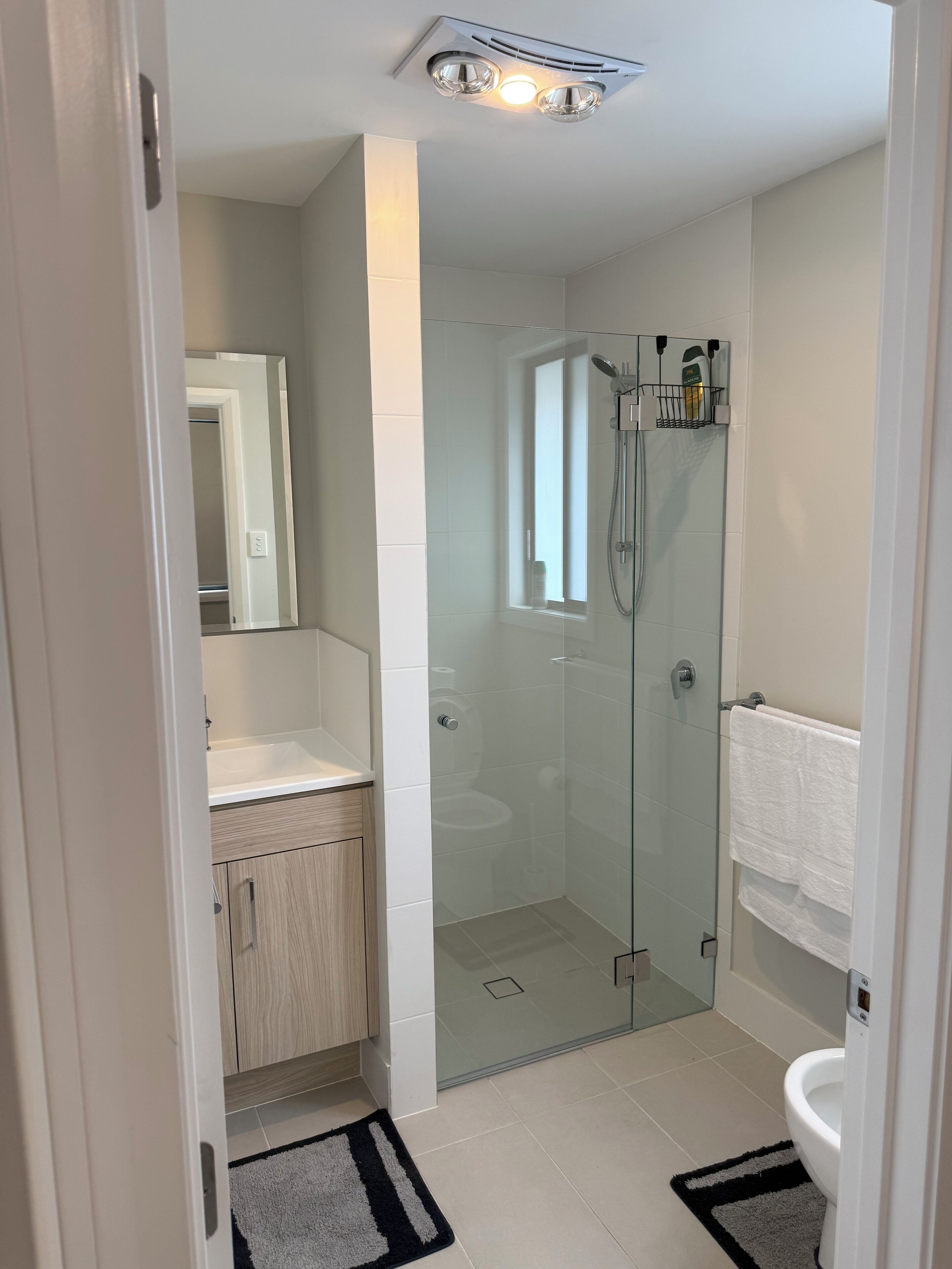 Shower, hair dryer, bidet, towels