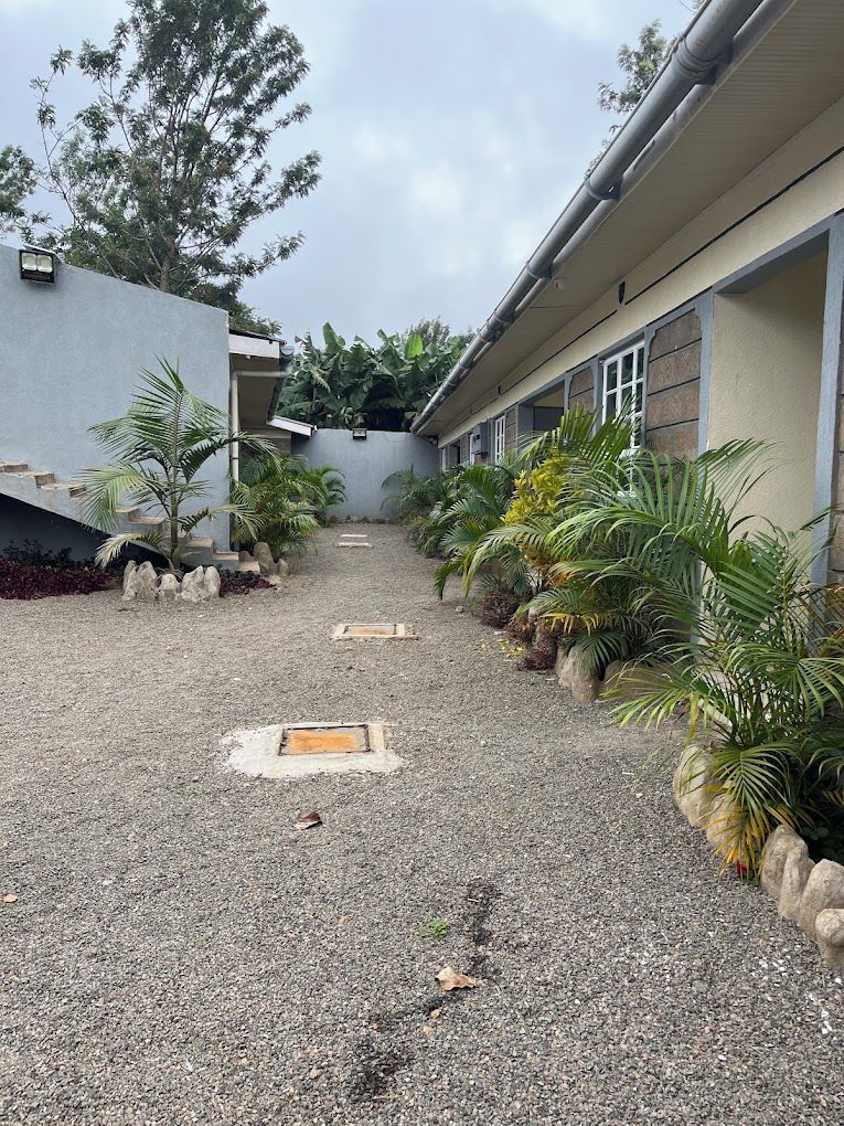 Un patio con camino de grava, palmeras y un edificio de fachada gris con una ventana.