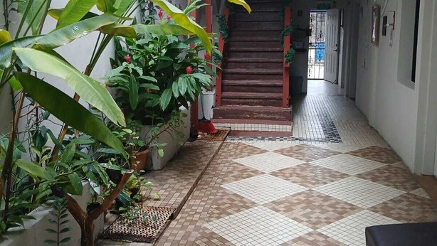 Un pasillo con baldosas y una escalera que sube a un nivel superior, rodeado de plantas en macetas y un banco.