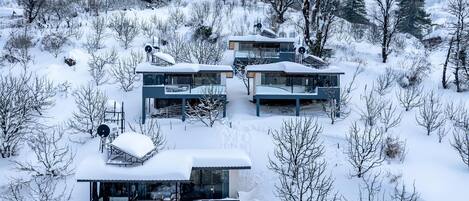 Un edificio moderno de varios pisos con grandes ventanales y techo plano, rodeado de árboles nevados y un paisaje montañoso.