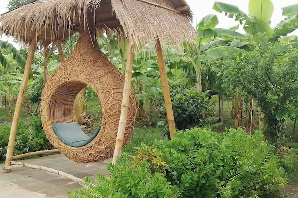Garden view