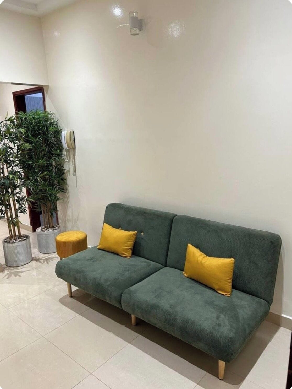 A green sofa with yellow cushions, a potted plant, and a wall-mounted phone.