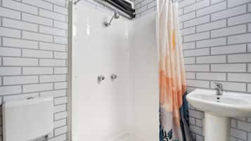 Shower, hair dryer