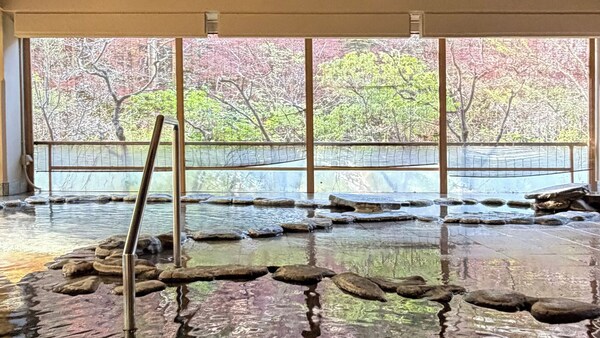 源泉一途岩手雫石 - Iwate District