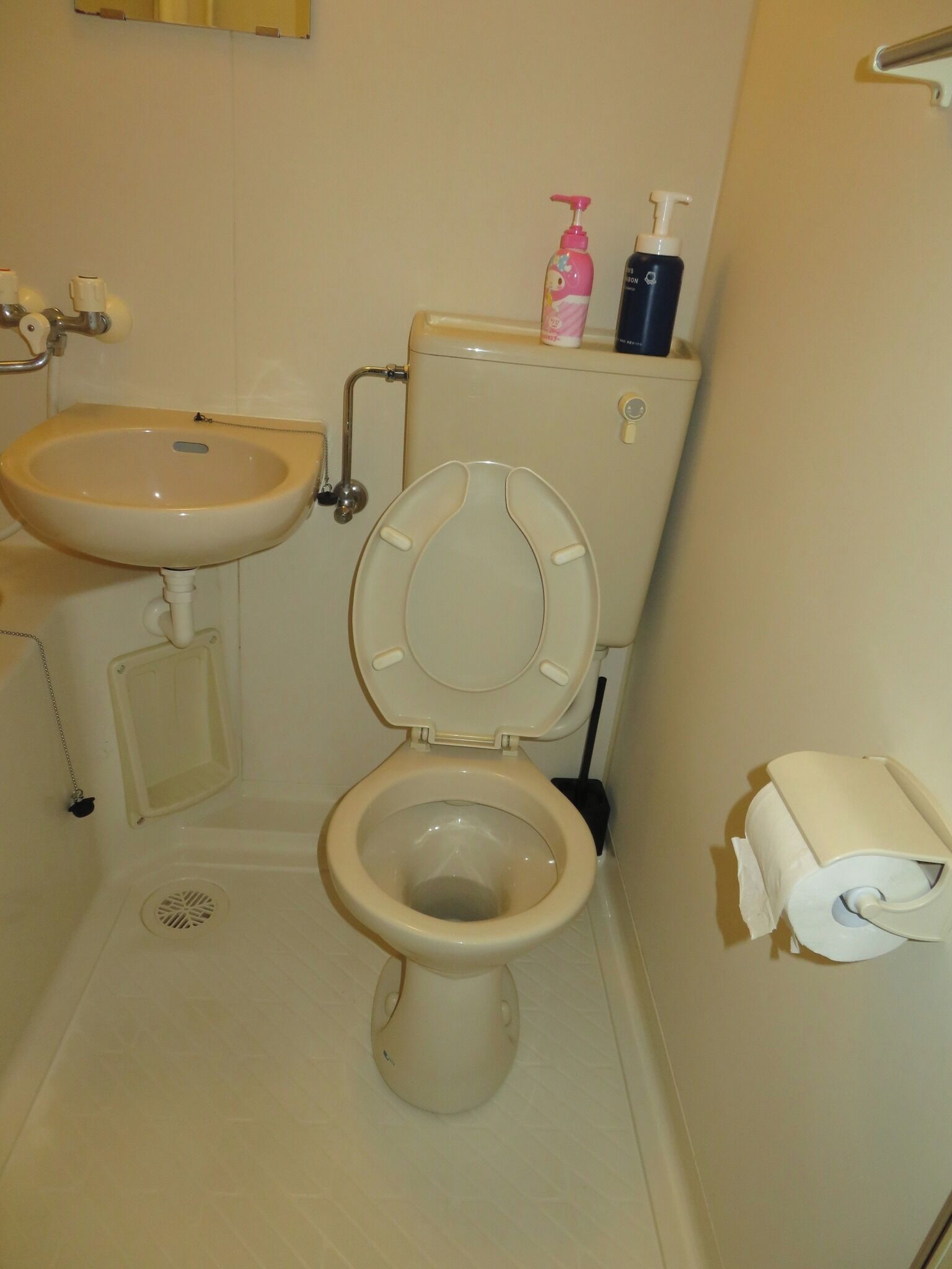 Hair dryer, towels