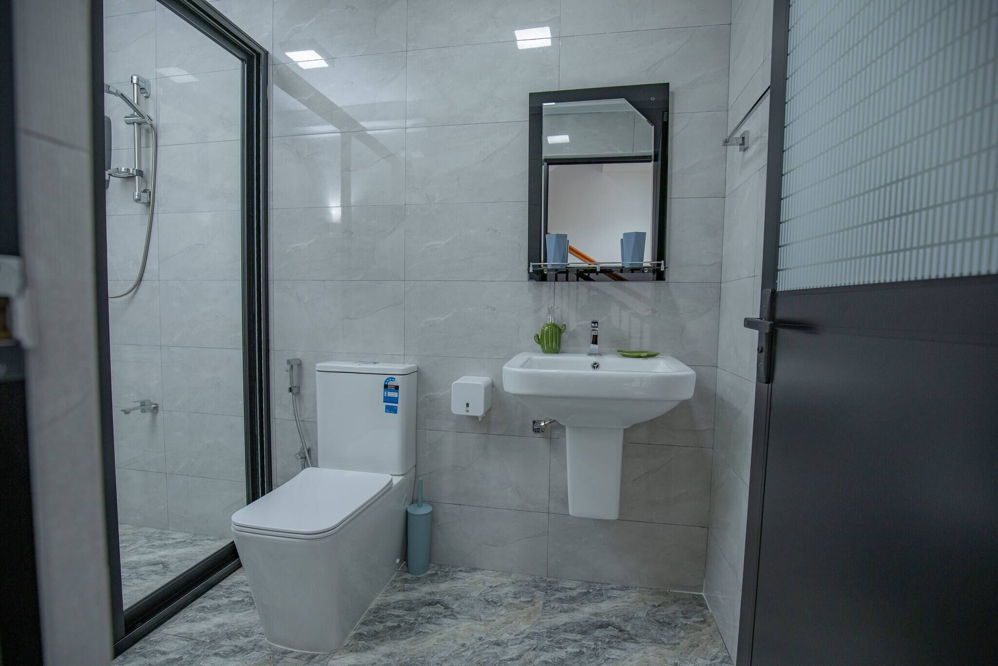 A modern bathroom with a glass shower enclosure, a white toilet, a pedestal sink, and a mirror above the sink.