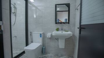 A modern bathroom with a glass shower enclosure, a white toilet, a pedestal sink, and a mirror above the sink.