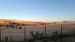 Un campo cercado con ganado pastando, rodeado por un paisaje rural con colinas y árboles a lo lejos.