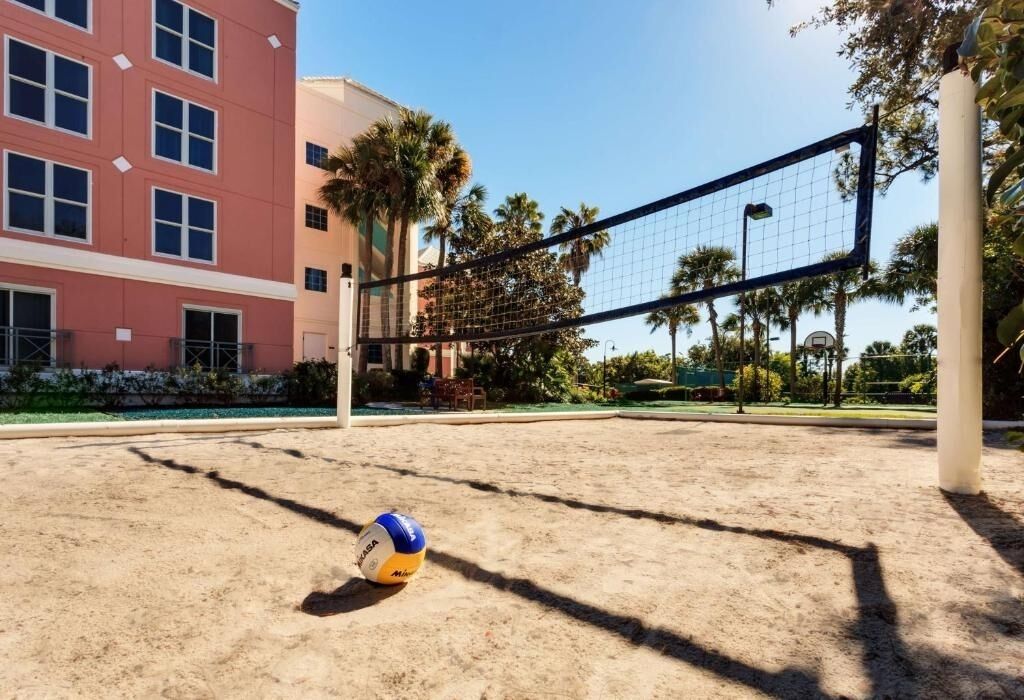Una cancha de voleibol con red, palmeras y un edificio al fondo.