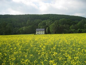 Apartment | Exterior - Ferienwohnung im Dachgeschoss, Homberg (Homberg)