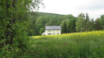 Apartment | Property grounds