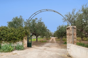 Una puerta rural con arco de metal, rodeada de olivos y un sendero de tierra.