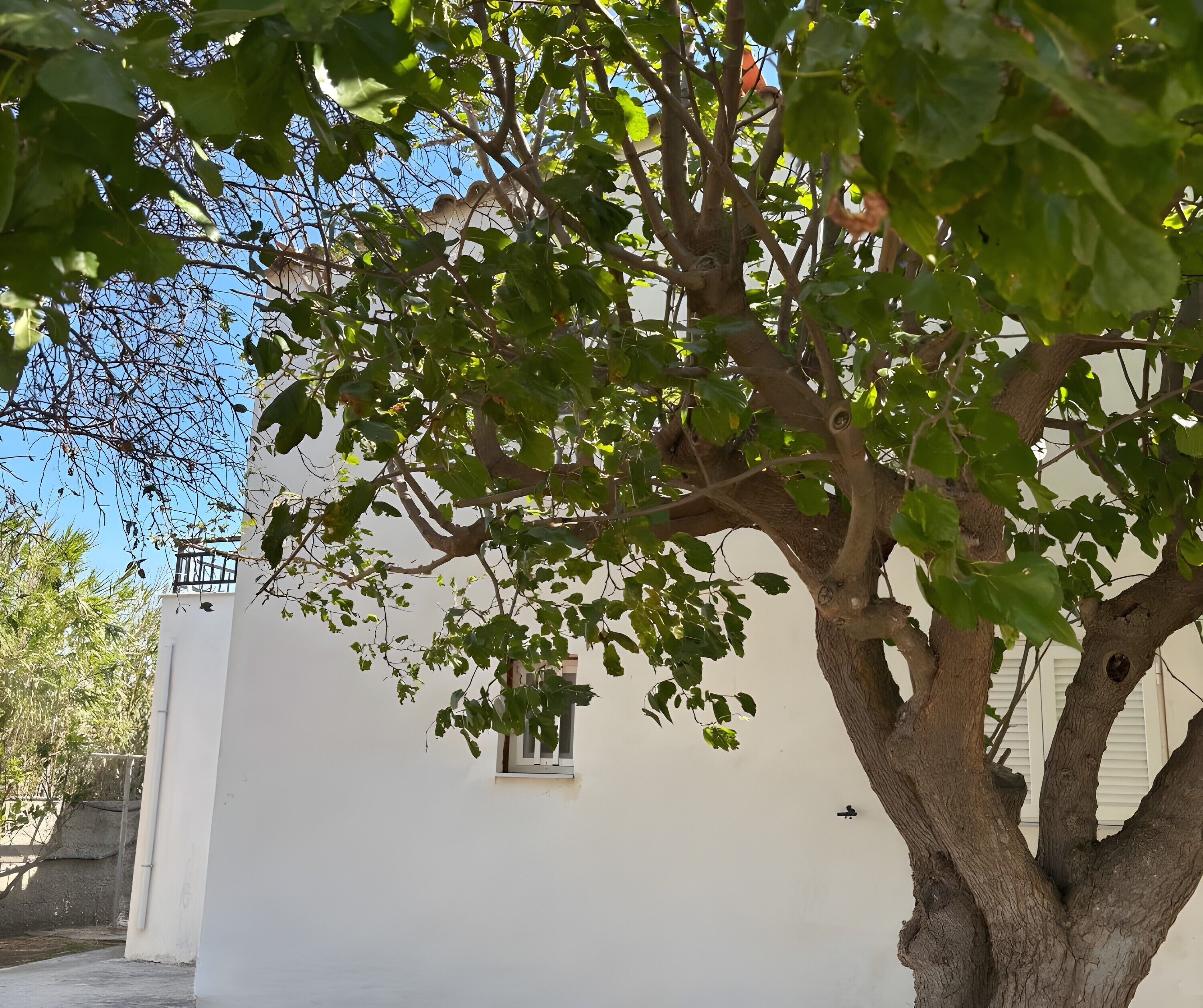 Área da propriedade