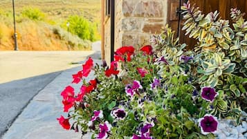 Detalle del exterior