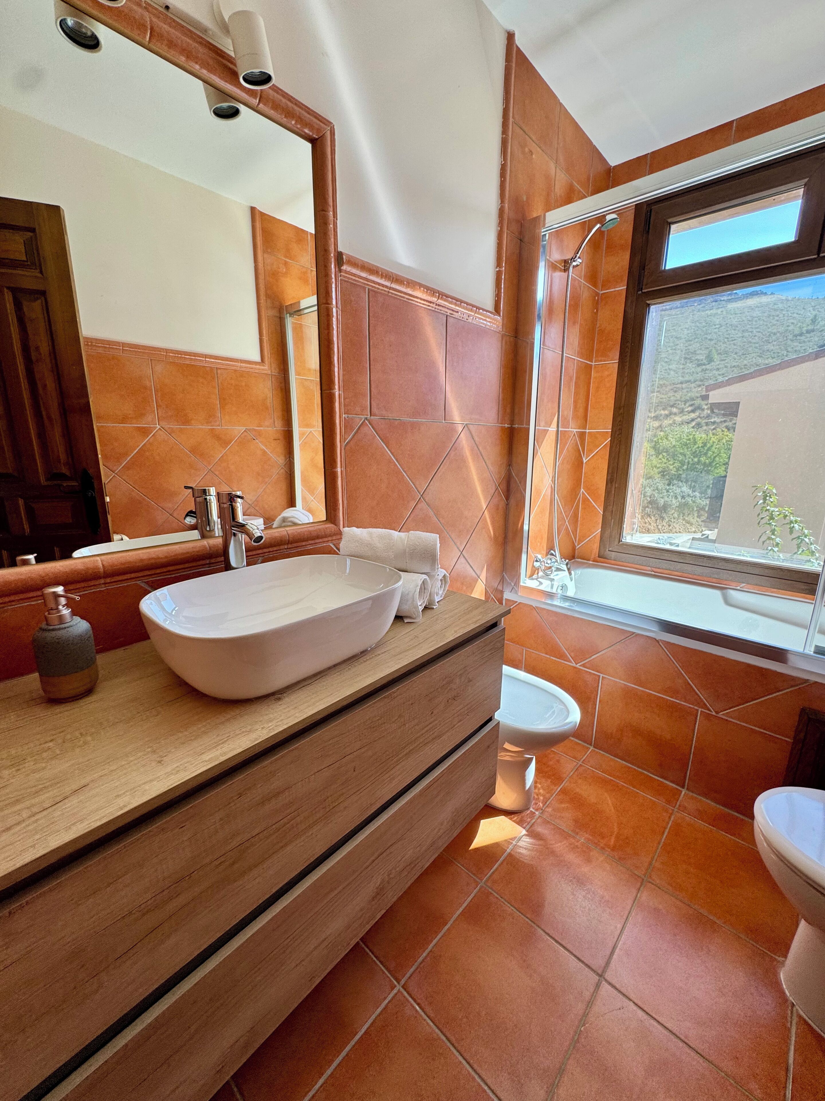 Een bubbelbad, een haardroger, een bidet, handdoeken