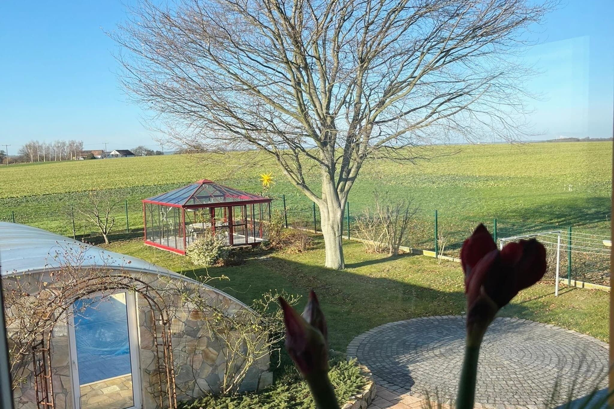 Ein Gewächshaus mit Glasdach, ein Baum und ein Pavillon in ländlicher Umgebung.