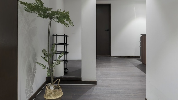 A hallway with a potted plant, a black shelf unit, and a wooden cabinet. - J nine Lodge (Seoul)