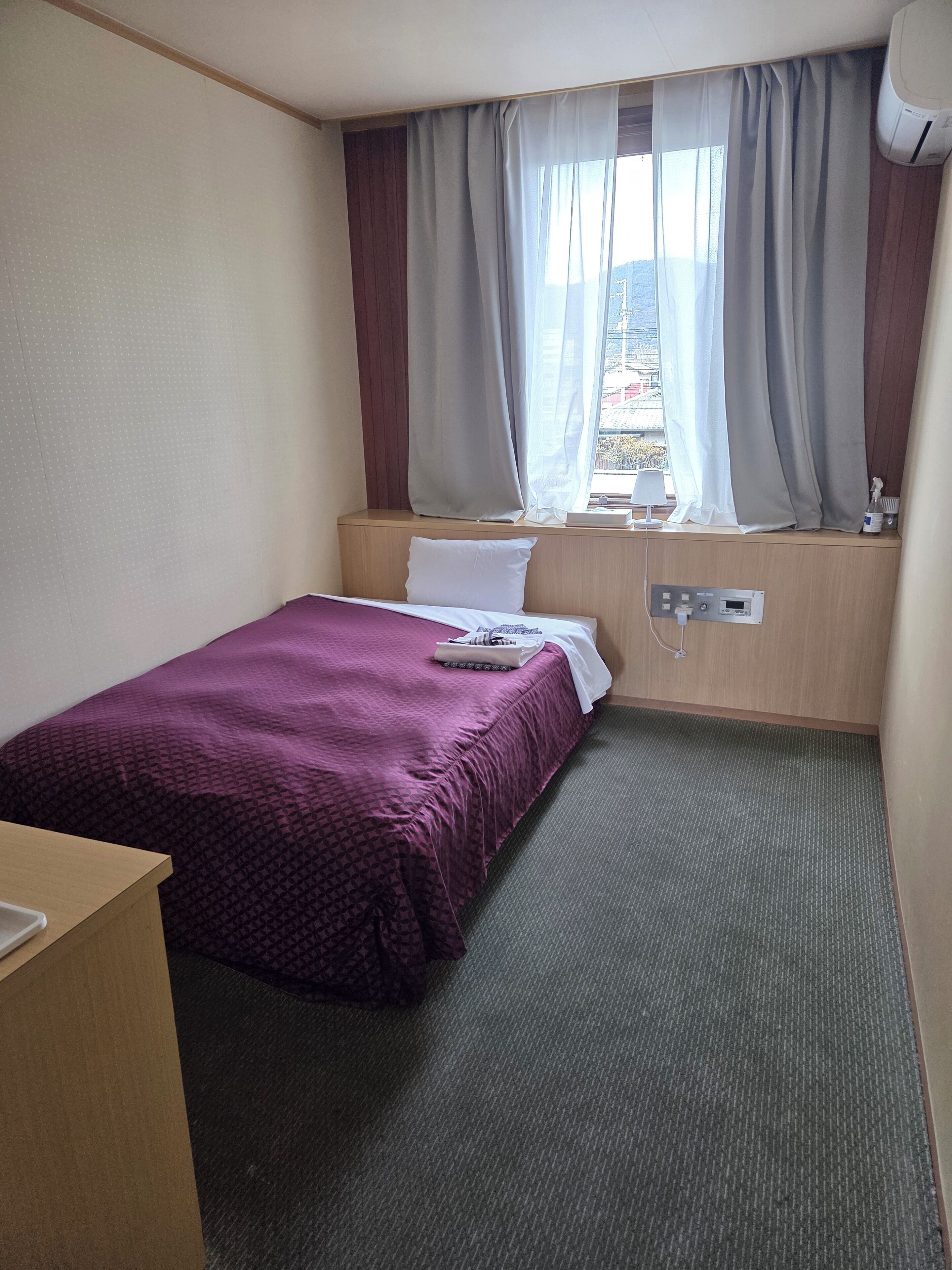 Single Room, Non Smoking | Iron/ironing board