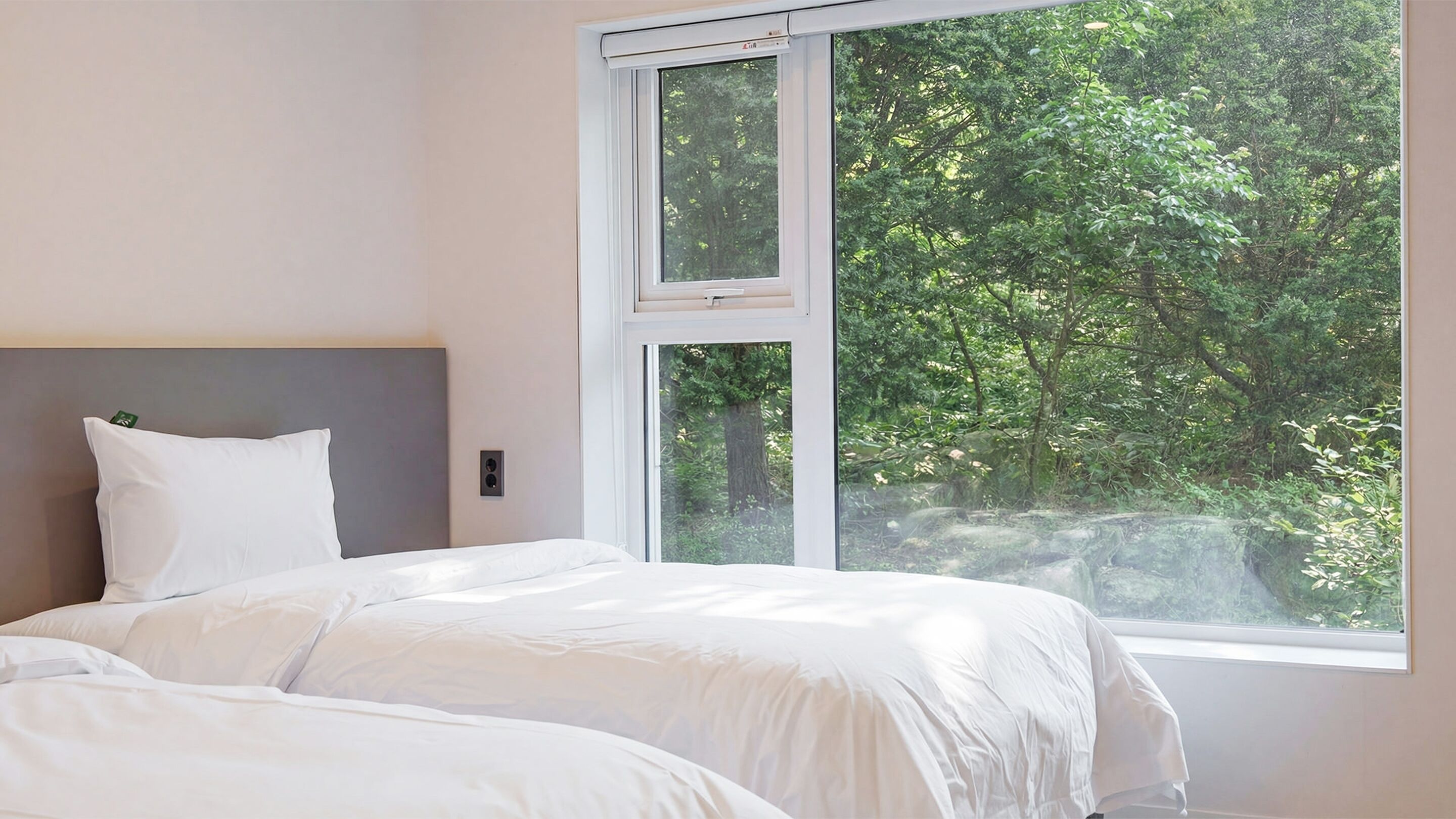 Basic Room, 1 Bedroom (Room 103 – Type C) | 1 bedroom, free WiFi