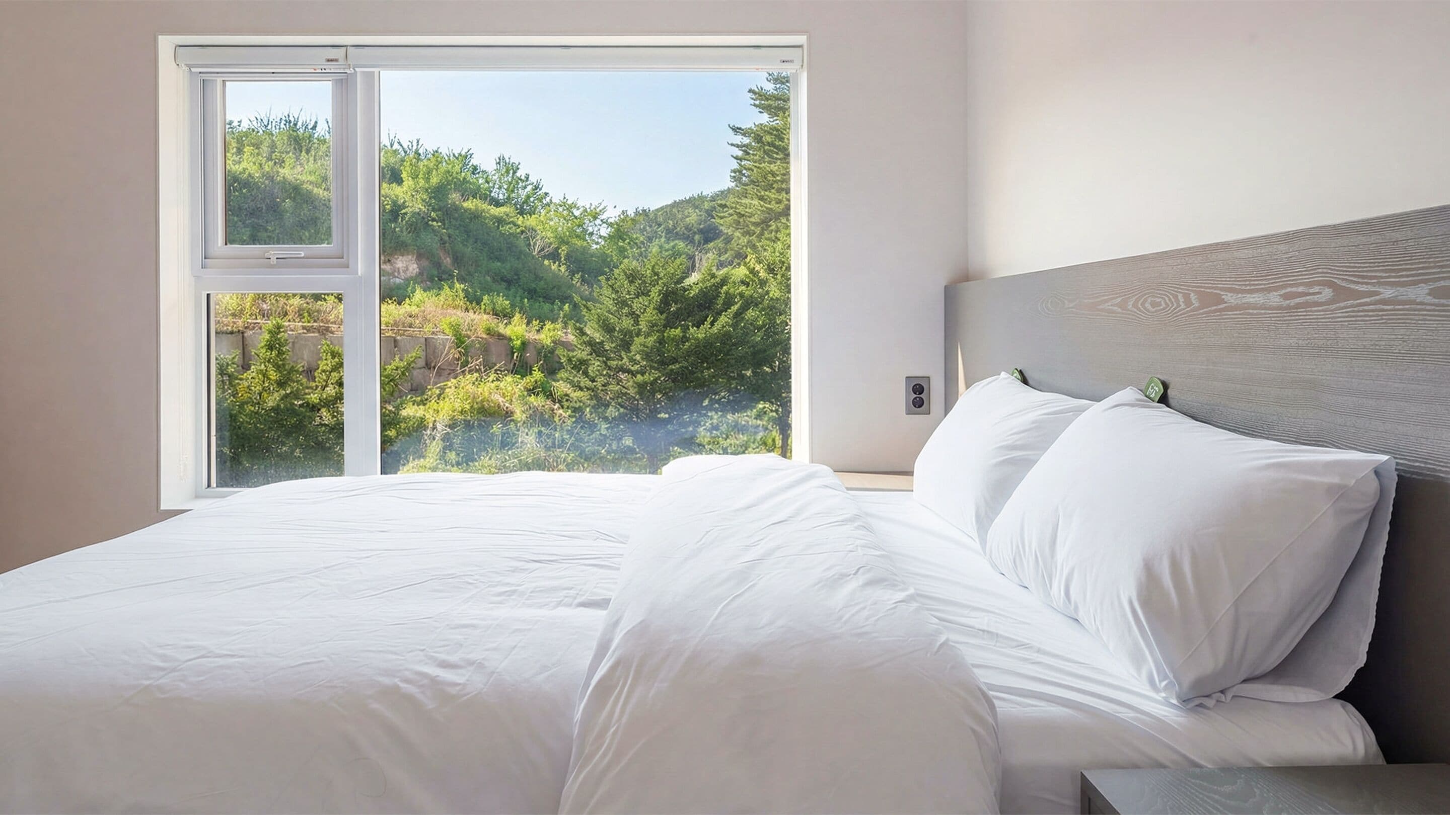 Chambre, 1 chambre (Room 207 – Type B) | 1 chambre, Wi-Fi gratuit