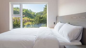 Chambre, 1 chambre (Room 207 – Type B) | 1 chambre, Wi-Fi gratuit