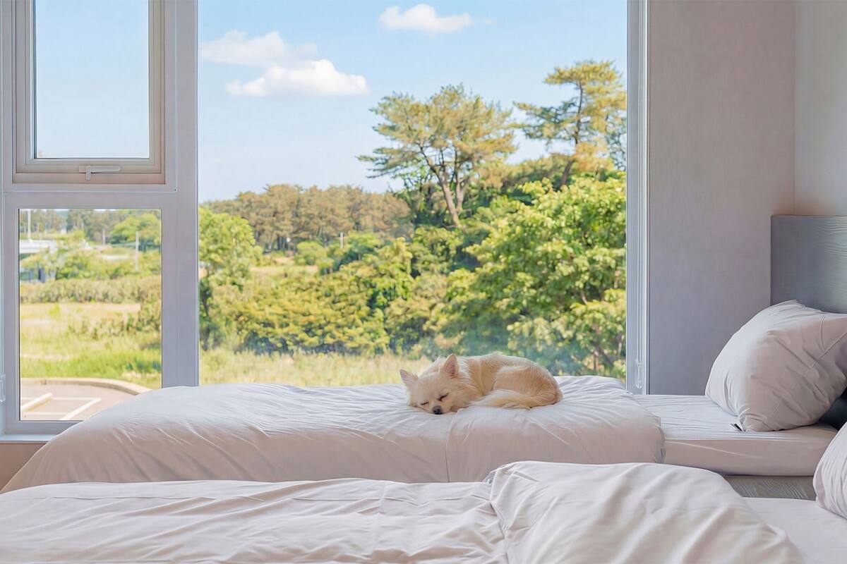 A bedroom with a bed, a window, and a view of a forest.