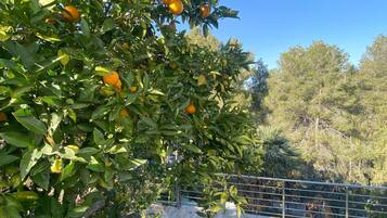 Overnatningsstedets område