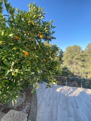 Àrea exterior de l'allotjament