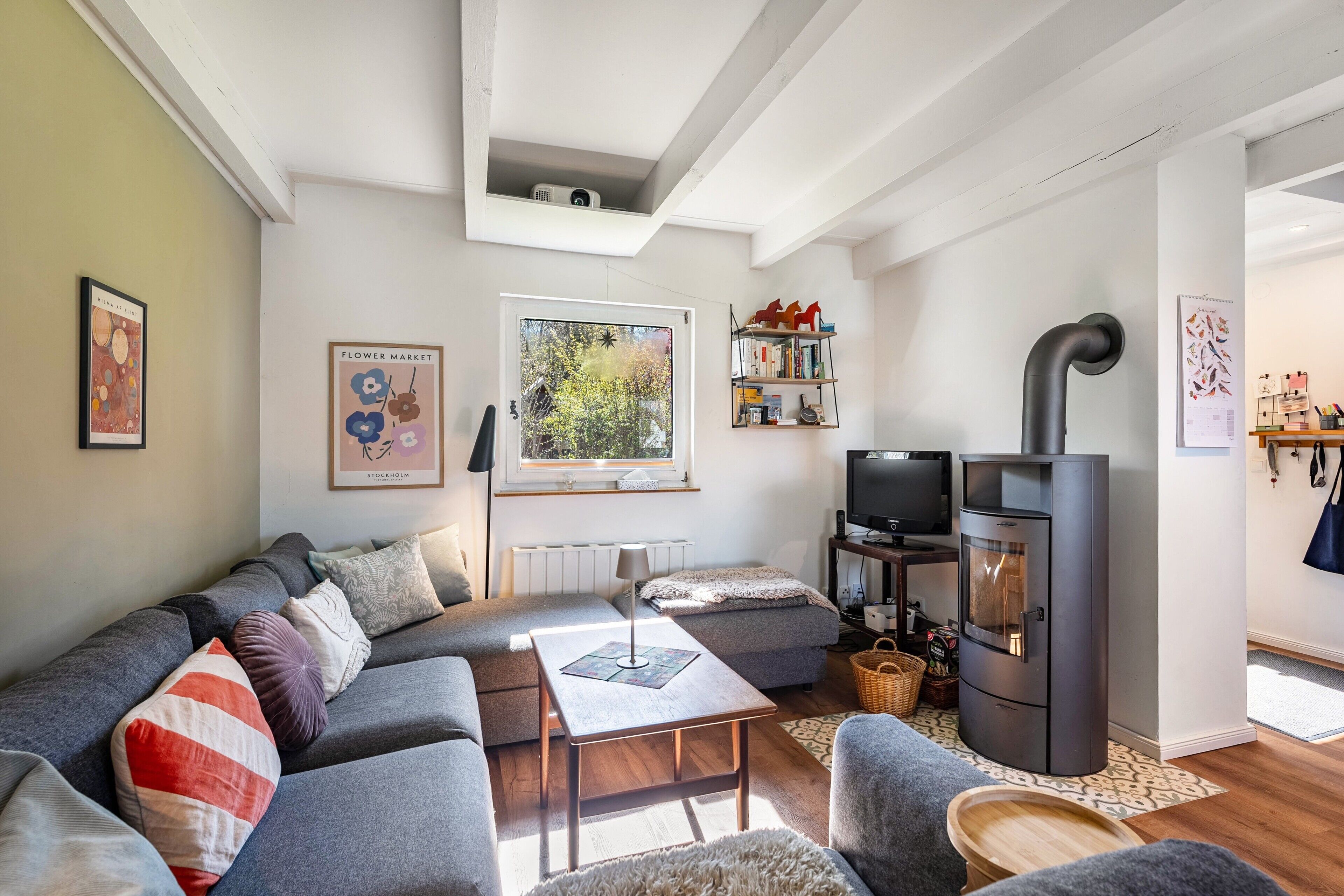 TV, fireplace, table tennis