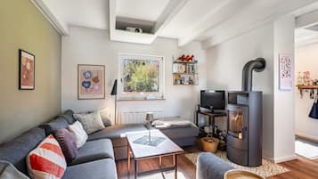 TV, fireplace, table tennis