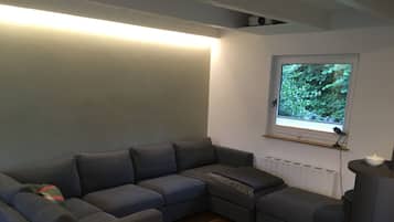 TV, fireplace, table tennis