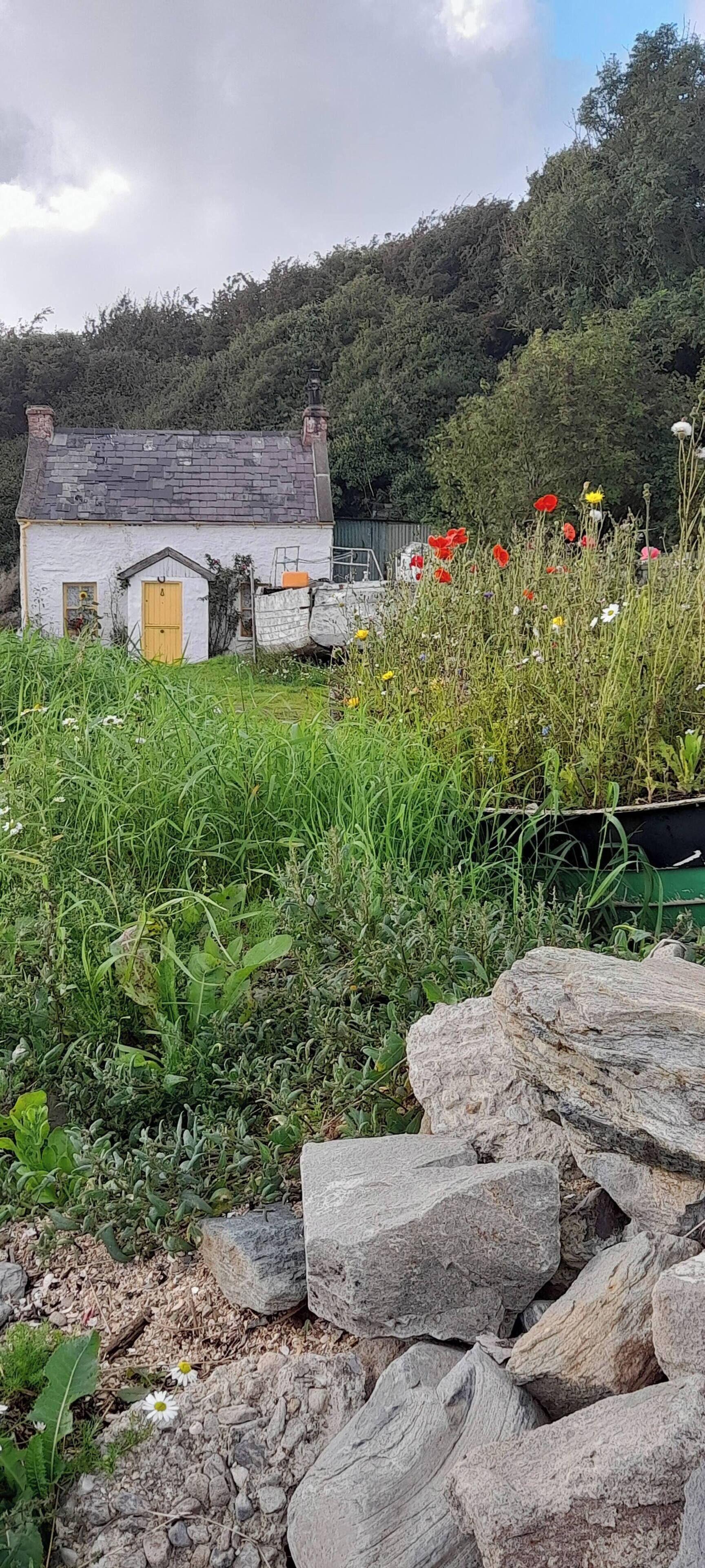 Cabaña, 2 habitaciones, balcón, vista al jardín | Áreas de la propiedad