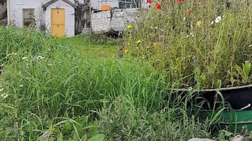 Cabin, 2 Bedrooms, Balcony, Garden View | Property grounds