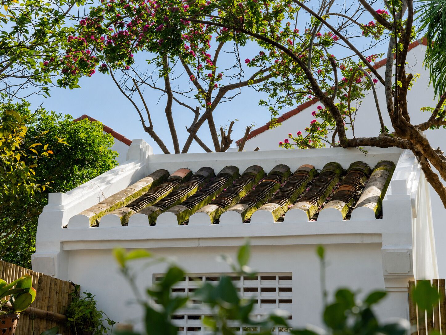 Un edificio de fachada blanca y tejado de tejas, con un árbol de flores rosadas al fondo.
