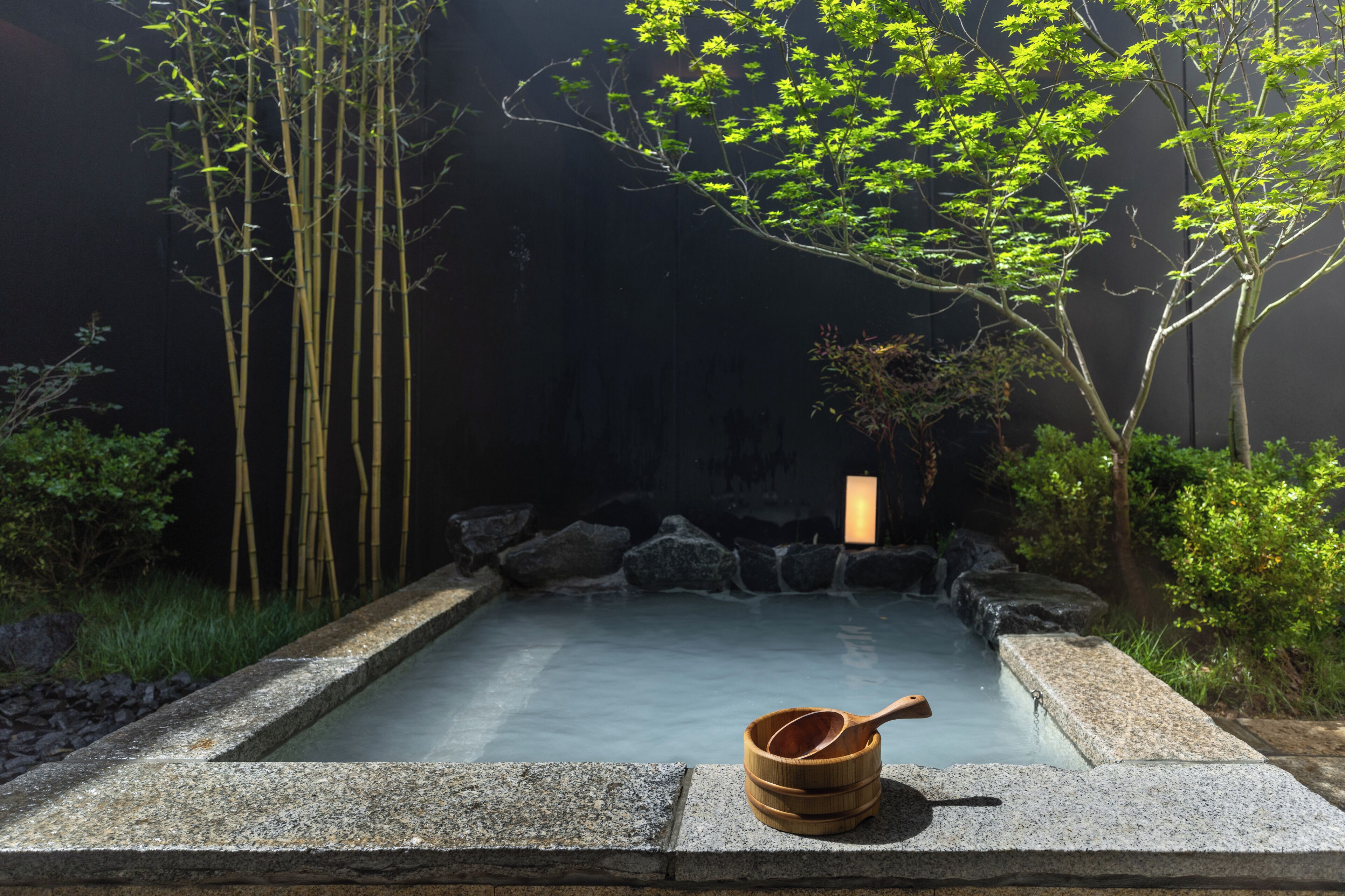 Japanese-style Double Room, 1 King Bed, Pets Not Allowed, Courtyard View | View from room