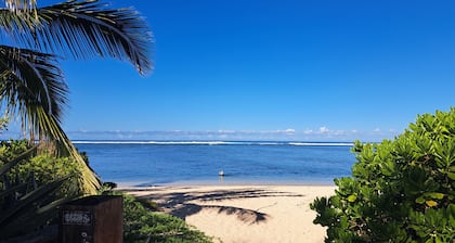 Agréable T3 à quelques minutes à pied du lagon!